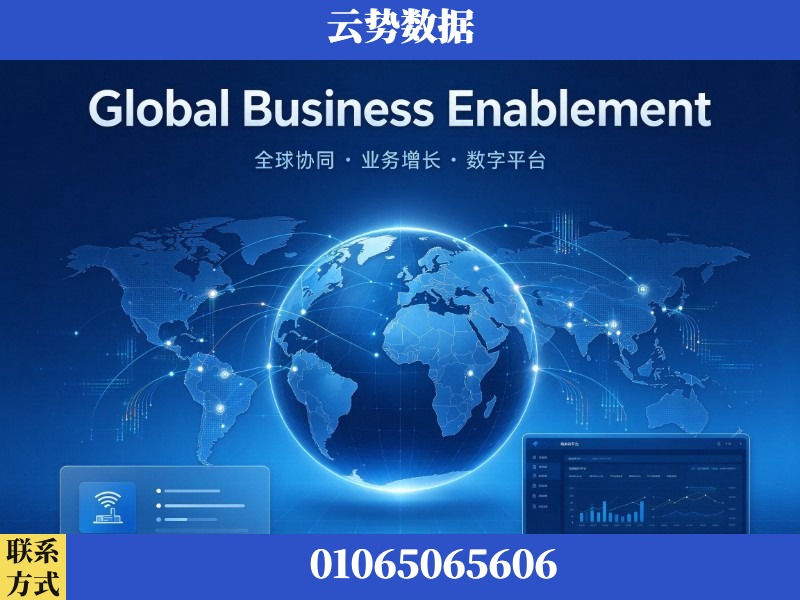 阿里-Global Business Enablement